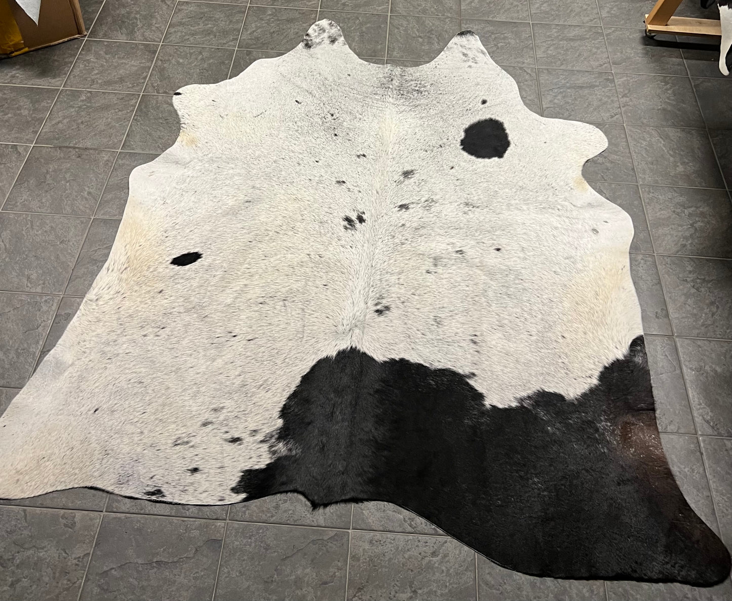 Koeienhuiden Uniek Gefotografeerd