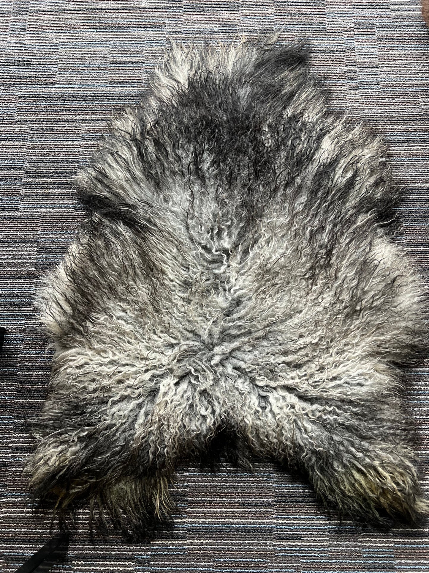 Sheepskin Iceland