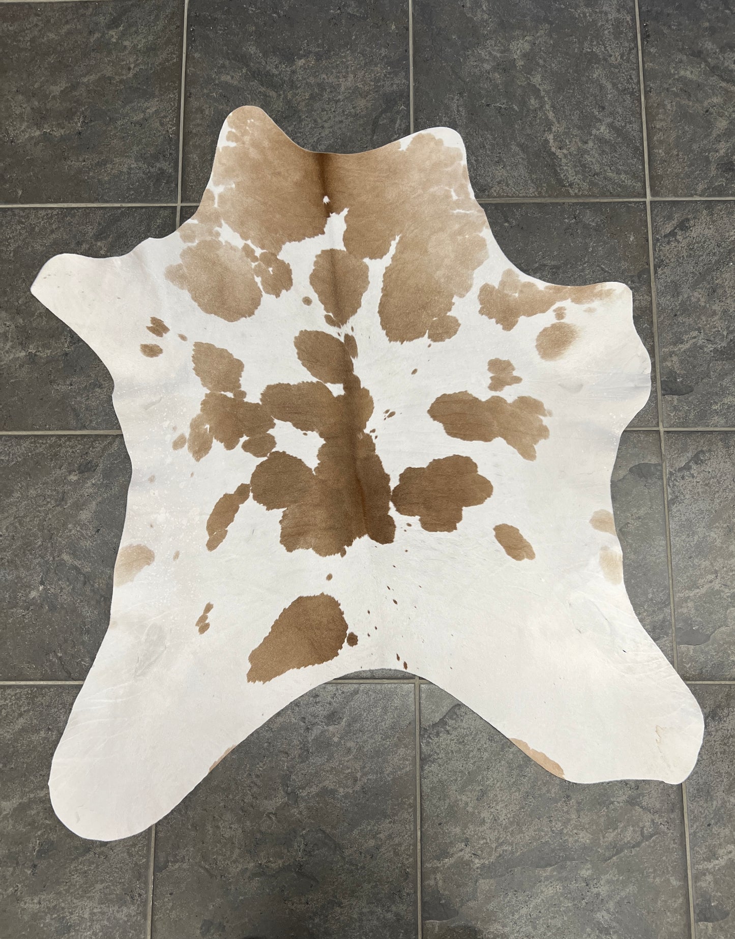 Kalfshuiden Uniek Gefotografeerd