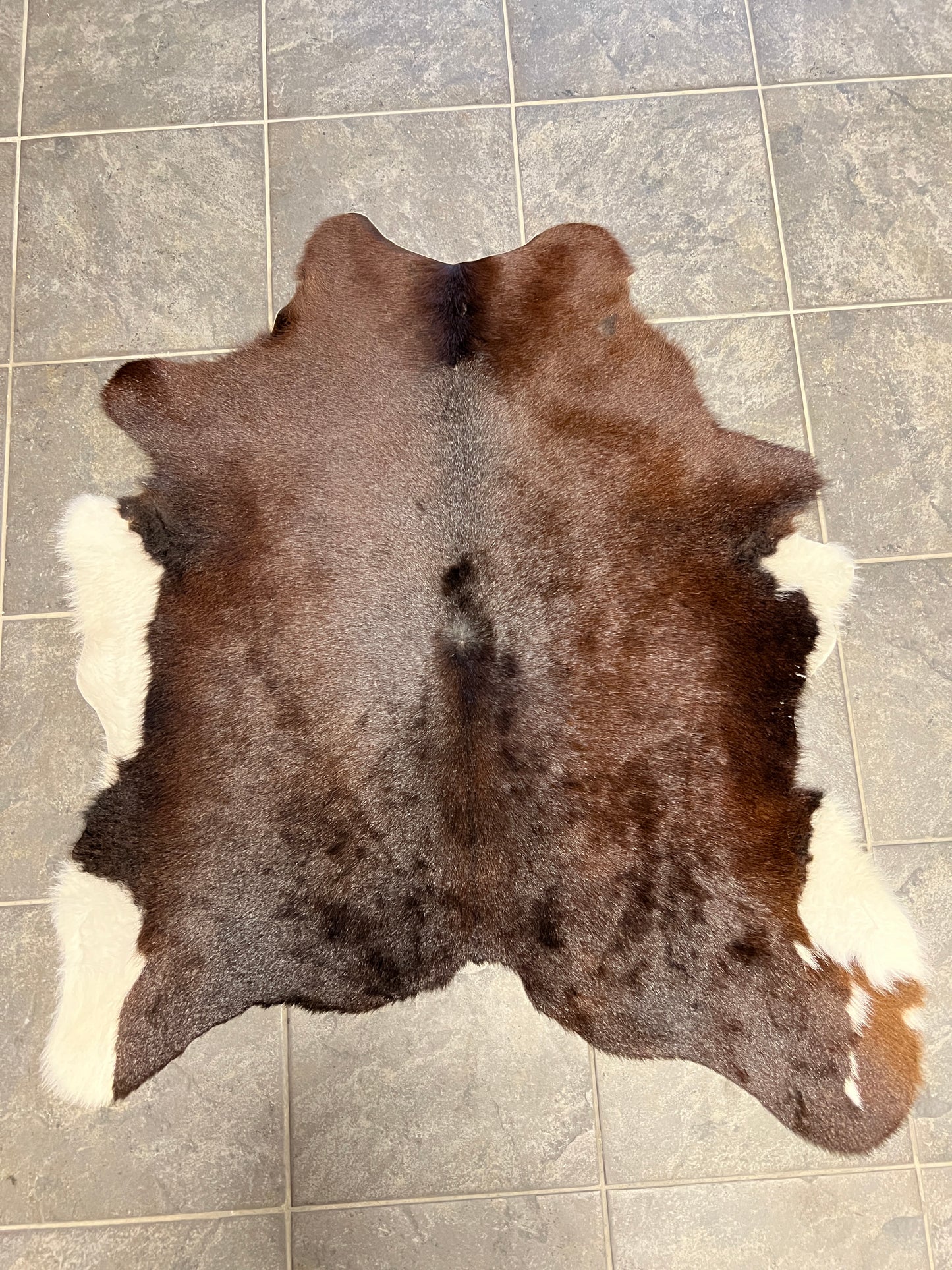 Kalfshuiden Uniek Gefotografeerd