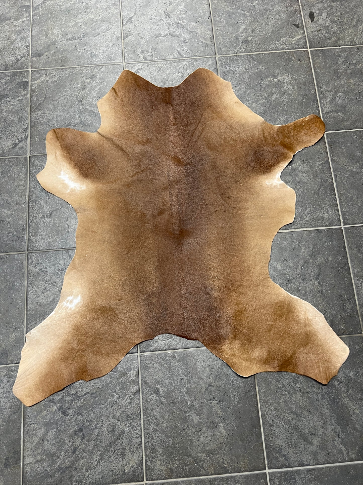 Kalfshuiden Uniek Gefotografeerd