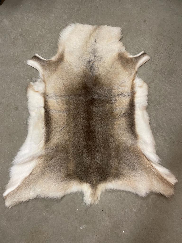 Reindeer skins